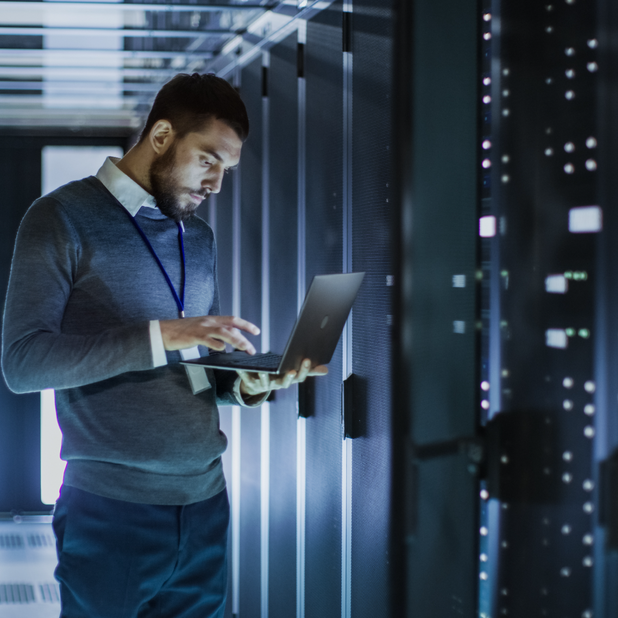 The IT Revolution