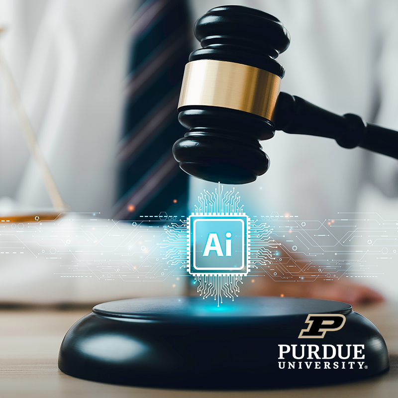 AI & Policy Governance