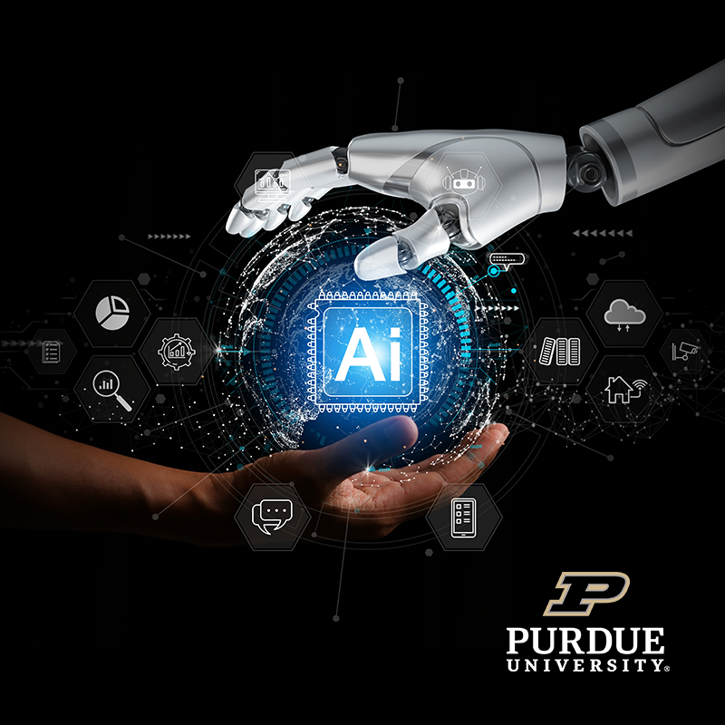 Demystifying AI, Understanding Risks, and Shaping the Future