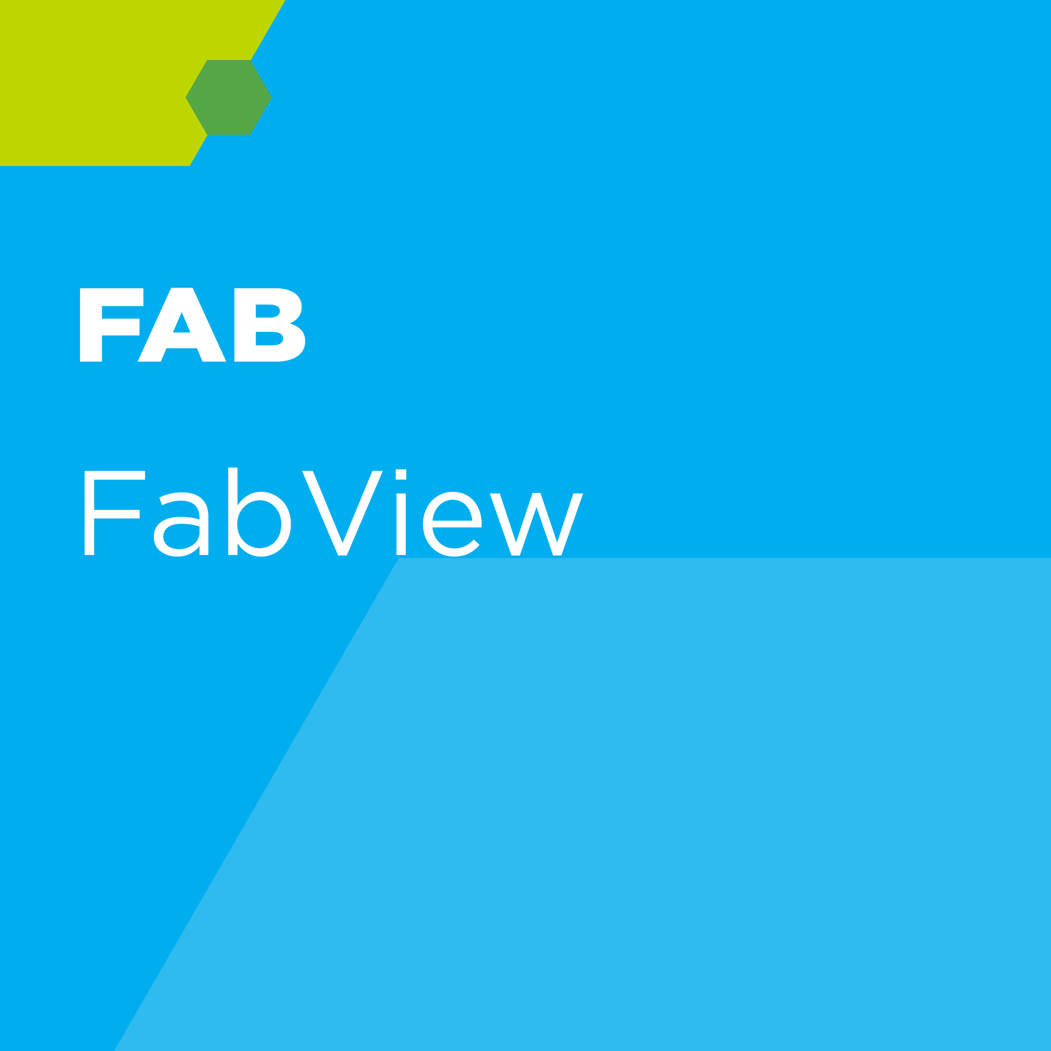 FabView - Subscription