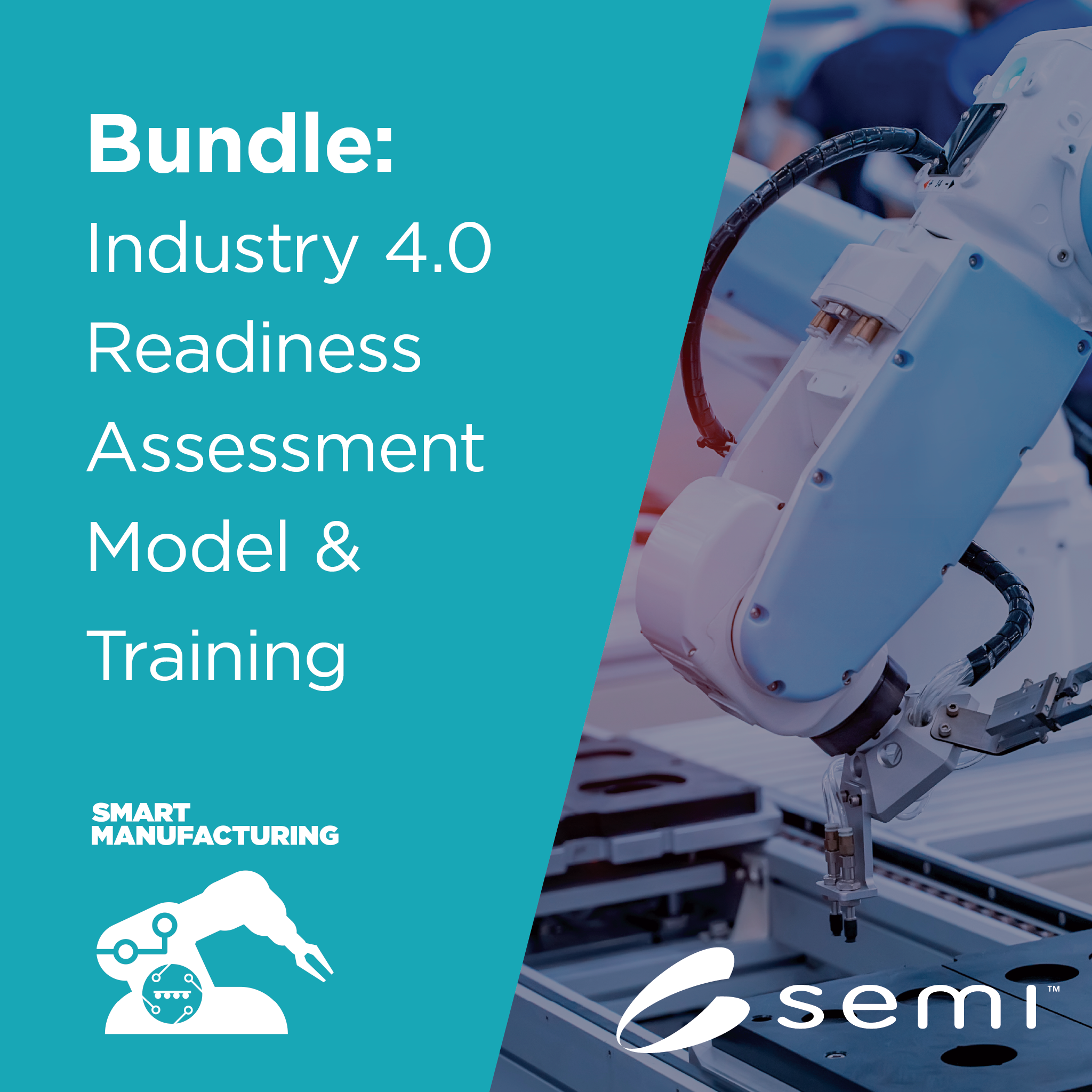 Industry 4.0 Readiness Assessment Model (IRAM) & Training