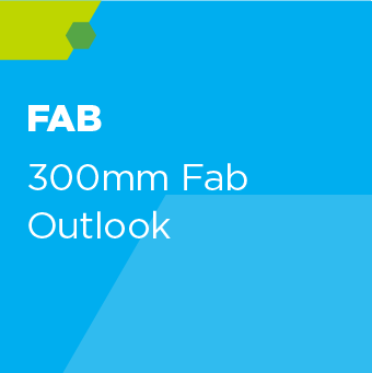 300mm Fab Outlook - Subscription